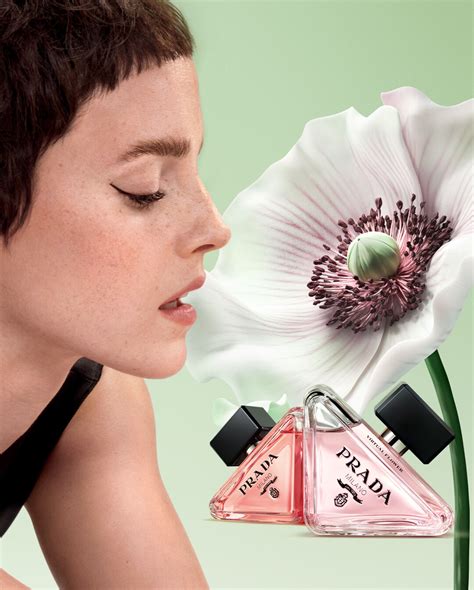 prada flower frog|prada paradoxe virtual floral perfume.